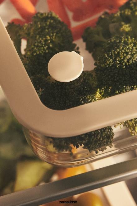 Zara accessoires P66V1690 unisexe contenant hermétique 47,34 oz crème