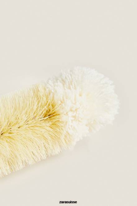 Zara accessoires P66V1790 unisexe goupillon (paquet de 3) beige clair