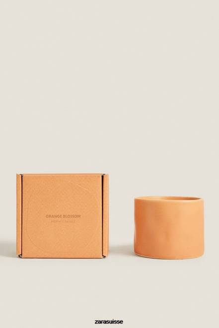Zara accessoires P66V1757 unisexe (150 g) bougie parfumée aux fleurs orange