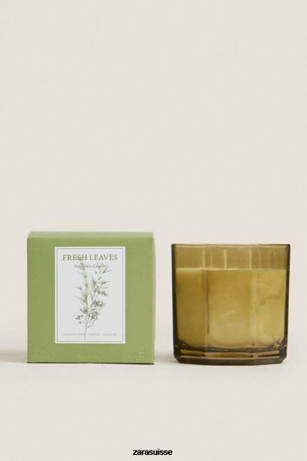 Zara accessoires P66V1763 unisexe (500 g) de bougie parfumée aux feuilles fraîches Terre