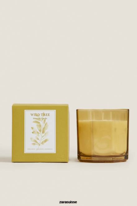 Zara accessoires P66V1764 unisexe (500 g) de bougie parfumée aux arbres sauvages olive verte