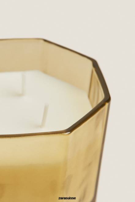 Zara accessoires P66V1764 unisexe (500 g) de bougie parfumée aux arbres sauvages olive verte