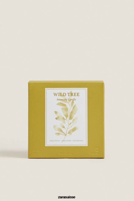 Zara accessoires P66V1764 unisexe (500 g) de bougie parfumée aux arbres sauvages olive verte