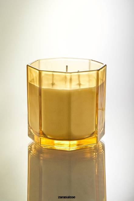 Zara accessoires P66V1764 unisexe (500 g) de bougie parfumée aux arbres sauvages olive verte