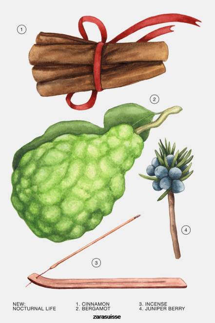 Zara accessoires P66V770 femmes vie nocturne 80 ml (2,7 fl. oz) original