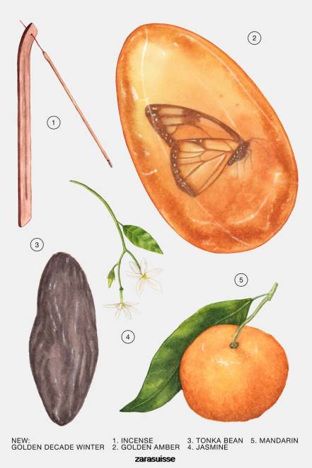 Zara accessoires P66V771 femmes décennie dorée hiver 80 ml original