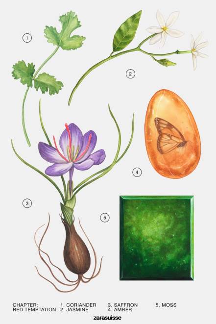 Zara accessoires P66V772 femmes tentation rouge 80 ml original