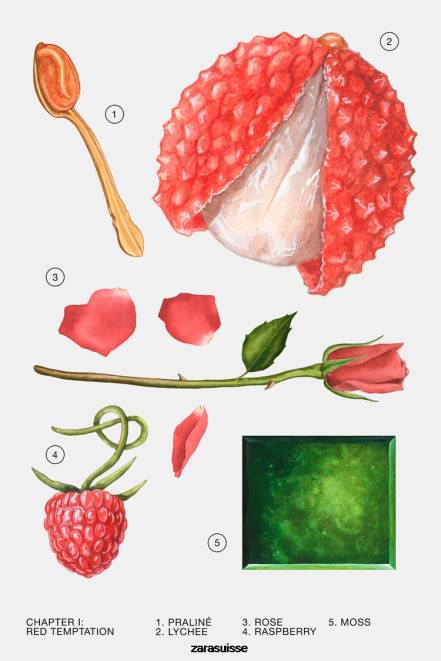 Zara accessoires P66V776 femmes tentation rouge été 80 ml original