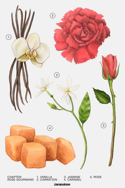 Zara accessoires P66V785 femmes rose gourmande 10 ml original