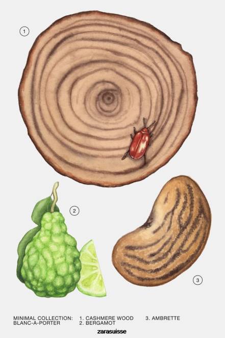 Zara accessoires P66V786 femmes blanc à porter 100 ml original