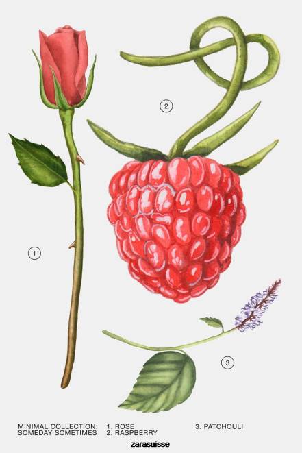 Zara accessoires P66V790 femmes un jour parfois 100 ml original