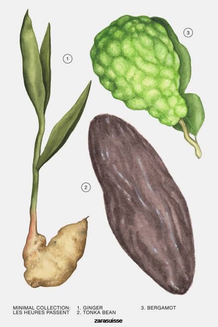 Zara accessoires P66V794 femmes les heures passent 30 ml original