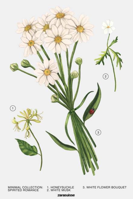 Zara accessoires P66V796 femmes romance animée 30 ml original