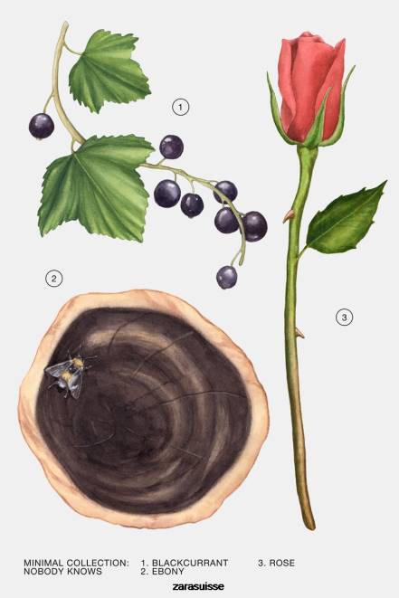 Zara accessoires P66V797 femmes personne ne sait 100 ml original