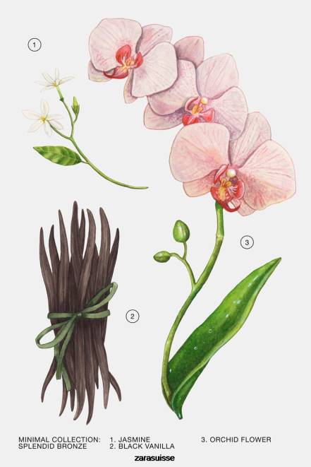 Zara accessoires P66V799 femmes bronze splendide 100 ml original