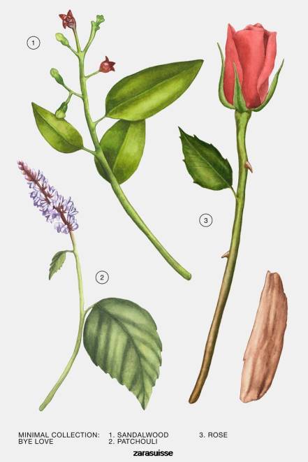 Zara accessoires P66V801 femmes au revoir mon amour 100 ml original