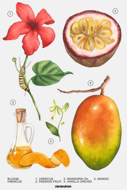 Zara accessoires P66V803 femmes hibiscus 90 ml original