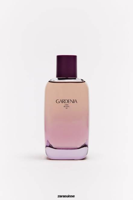 Zara accessoires P66V804 femmes gardénia 180 ml (6,0 fl. oz) original