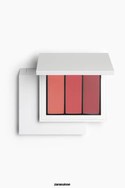 Zara accessoires P66V1508 femmes palette lèvres et visage original