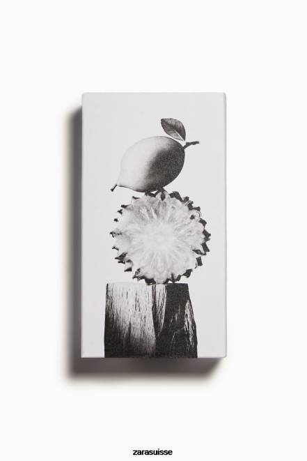 Zara accessoires P66V1362 Hommes Bogoss cuir vibrant 100 ml original