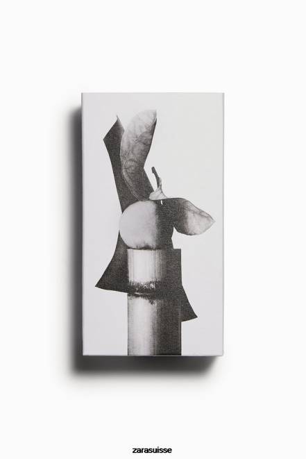 Zara accessoires P66V1368 Hommes cuir vibrant 100 ml original